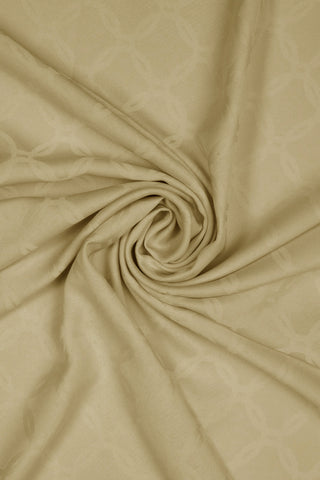 Parya Silk Jacquard Mint Scarf